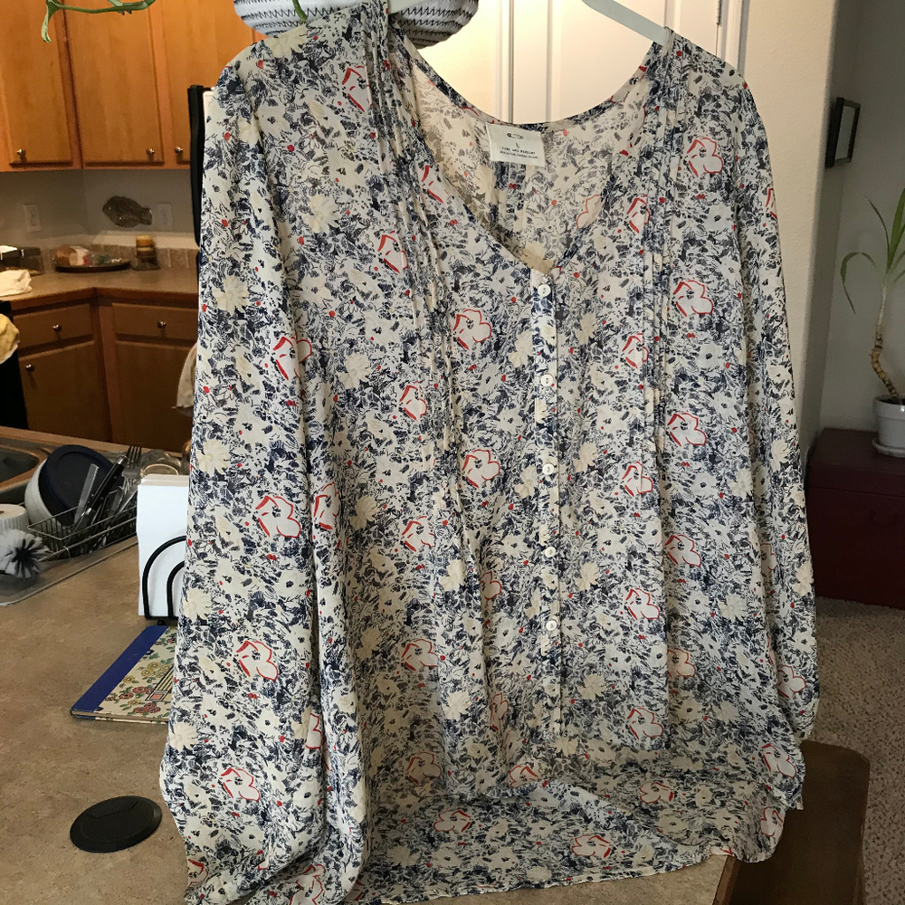 Long sleeve, button front sheer top